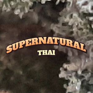 Supernatural Thai Cannabis Strain