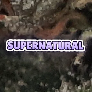 Supernatural Cannabis Strain