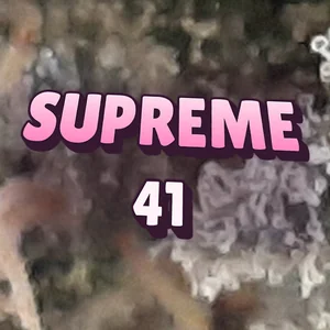 Supreme 41 Cannabis Strain