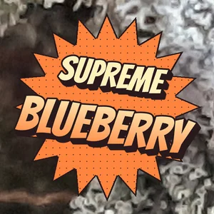Supreme Blueberry Cannabis Strain