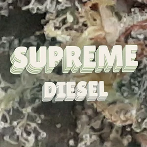 Supreme Diesel Cannabis Strain