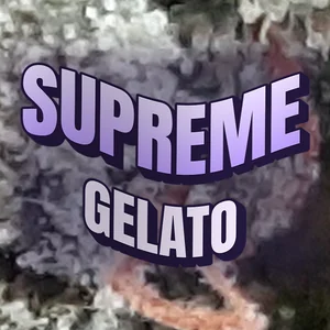 Supreme Gelato Cannabis Strain