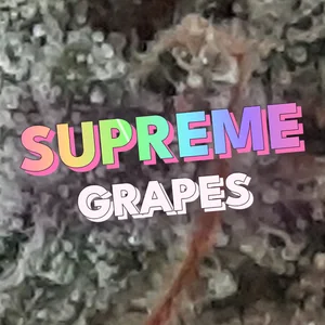Supreme Grapes Cannabis Strain
