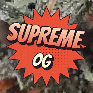 Supreme OG Cannabis Strain