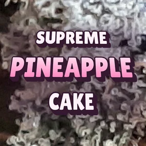 Supreme Pineapple Cake Cannabis Strain