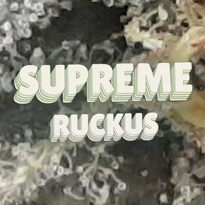 Supreme Ruckus Cannabis Strain