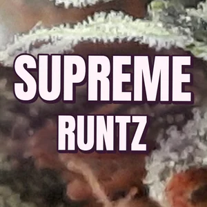 Supreme Runtz Cannabis Strain