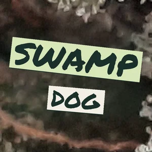 Swamp Dog Cannabis Strain