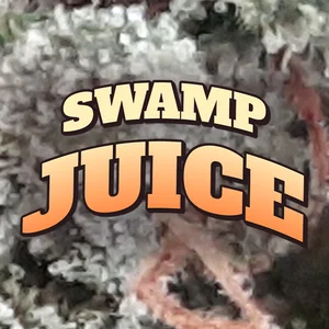 Swamp Juice Cannabis Strain