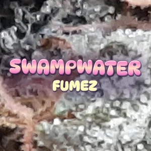 Swampwater Fumez Cannabis Strain