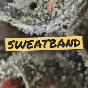 Sweatband Cannabis Strain