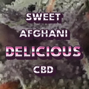 Sweet Afghani Delicious CBD Cannabis Strain