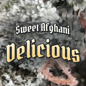 Sweet Afghani Delicious Cannabis Strain