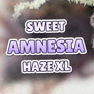 Sweet Amnesia Haze XL Cannabis Strain