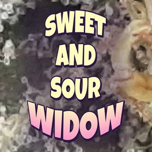 Sweet and Sour Widow Cannabis Strain