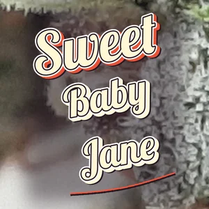 Sweet Baby Jane Cannabis Strain