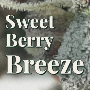 Sweet Berry Breeze Cannabis Strain