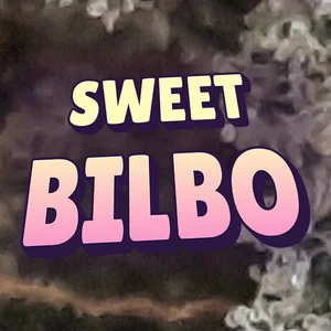 Sweet Bilbo Cannabis Strain