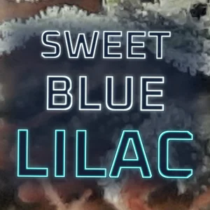 Sweet Blue Lilac Cannabis Strain
