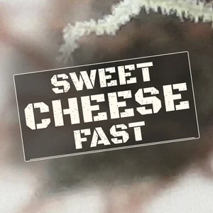 Sweet Cheese Fast Cannabis Strain
