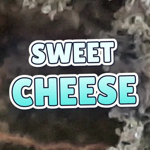 Sweet Cheese Cannabis Strain