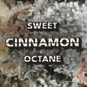Sweet Cinnamon Octane Cannabis Strain