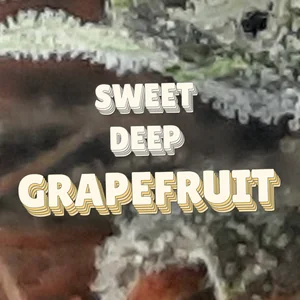 Sweet Deep Grapefruit Cannabis Strain