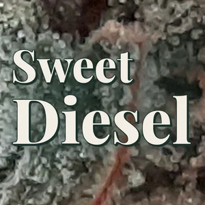 Sweet Diesel Cannabis Strain