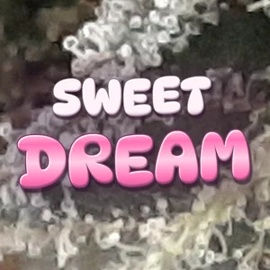 Sweet Dream Cannabis Strain