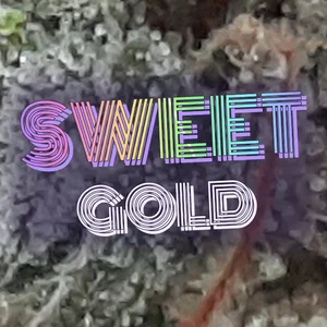 Sweet Gold Cannabis Strain