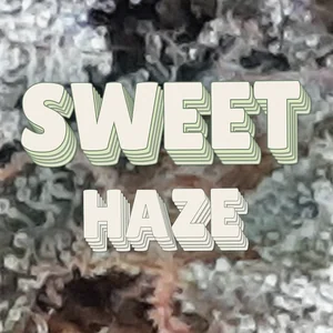 Sweet Haze Cannabis Strain