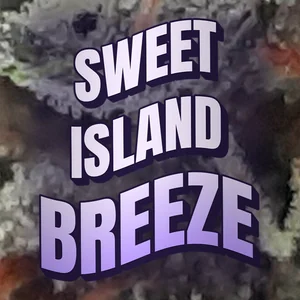 Sweet Island Breeze Cannabis Strain