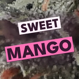 Sweet Mango Cannabis Strain