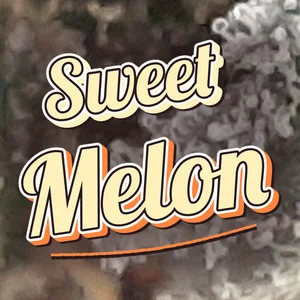 Sweet Melon Cannabis Strain