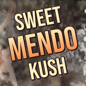 Sweet Mendo Kush Cannabis Strain