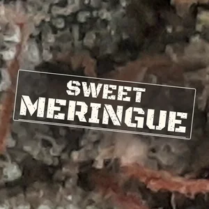 Sweet Meringue Cannabis Strain