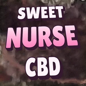 Sweet Nurse CBD Cannabis Strain
