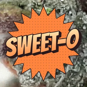 Sweet-O Cannabis Strain