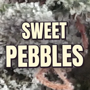 Sweet Pebbles Cannabis Strain