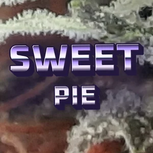Sweet Pie Cannabis Strain