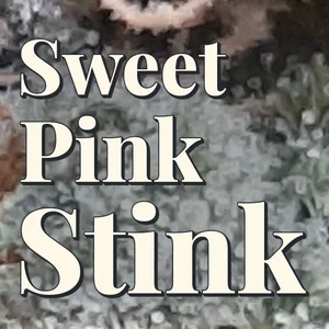 Sweet Pink Stink Cannabis Strain