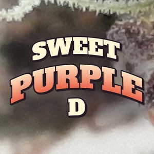 Sweet Purple D Cannabis Strain