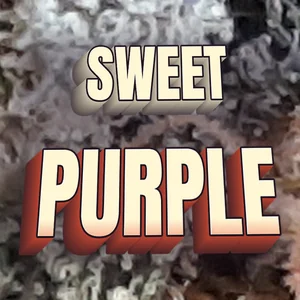 Sweet Purple Cannabis Strain