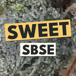 Sweet SBSE Cannabis Strain