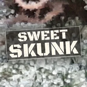 Sweet Skunk Cannabis Strain