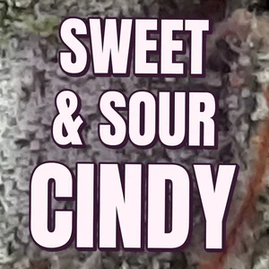 Sweet & Sour Cindy Cannabis Strain