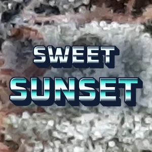 Sweet Sunset Cannabis Strain