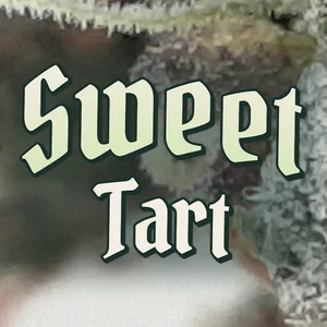 Sweet Tart Cannabis Strain