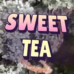Sweet Tea Cannabis Strain