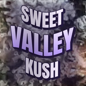 Sweet Valley Kush Cannabis Strain